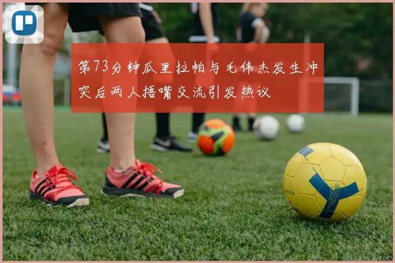 第73分钟瓜里拉帕与毛伟杰发生冲突后两人捂嘴交流引发热议