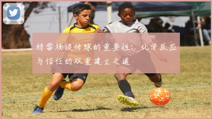 特雷杨谈传球的重要性：化学反应与信任的双重建立之道